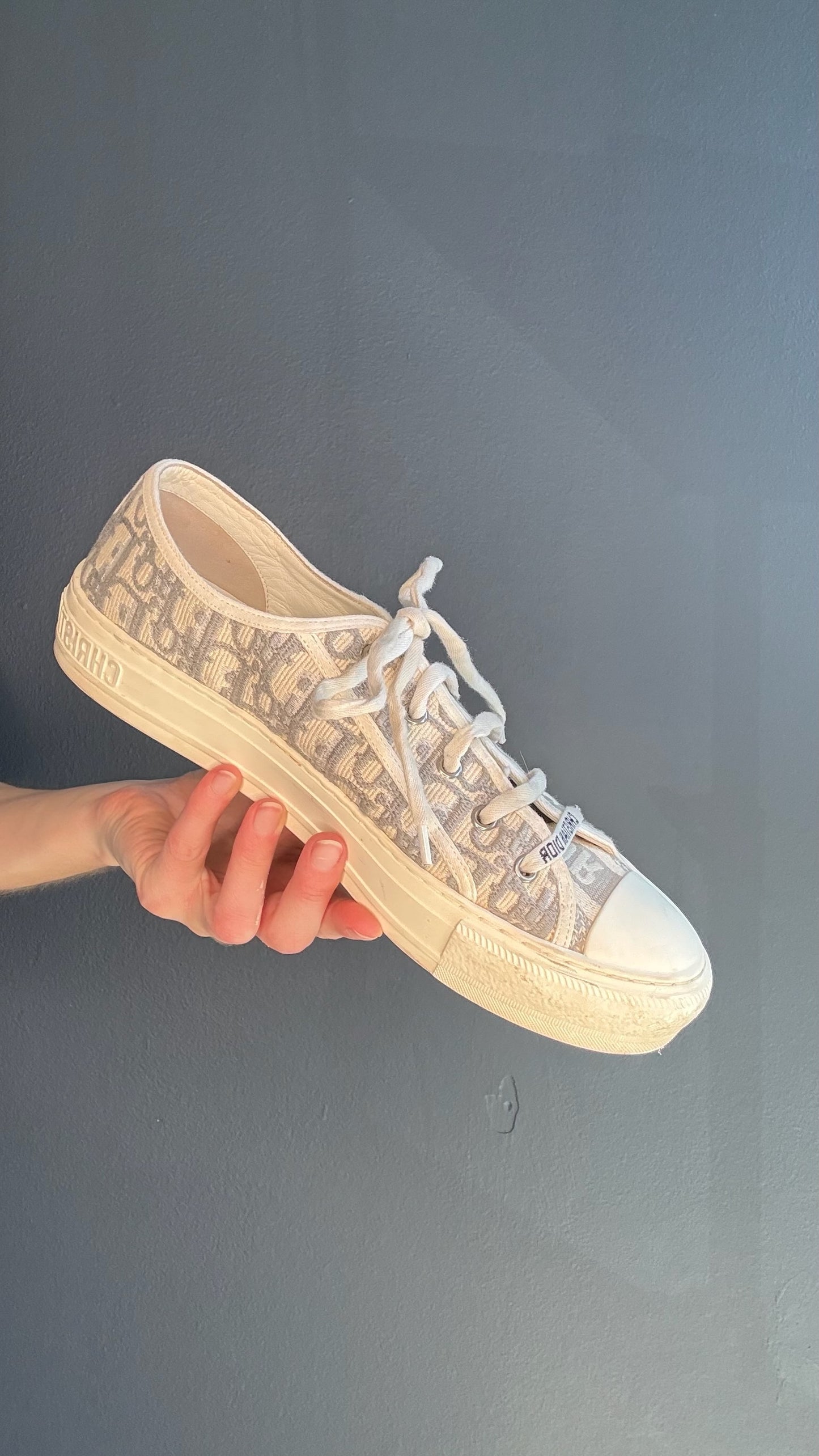 Christian Dior Walk'n'Dior Sneakers - 41