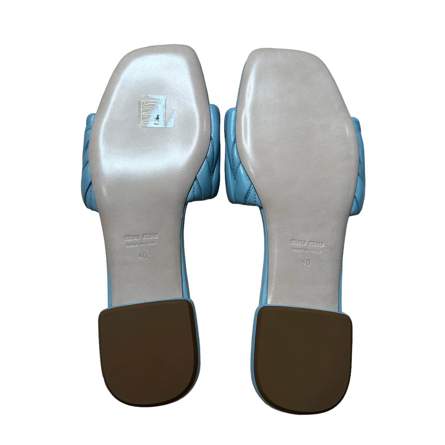 Blue Logo Slides