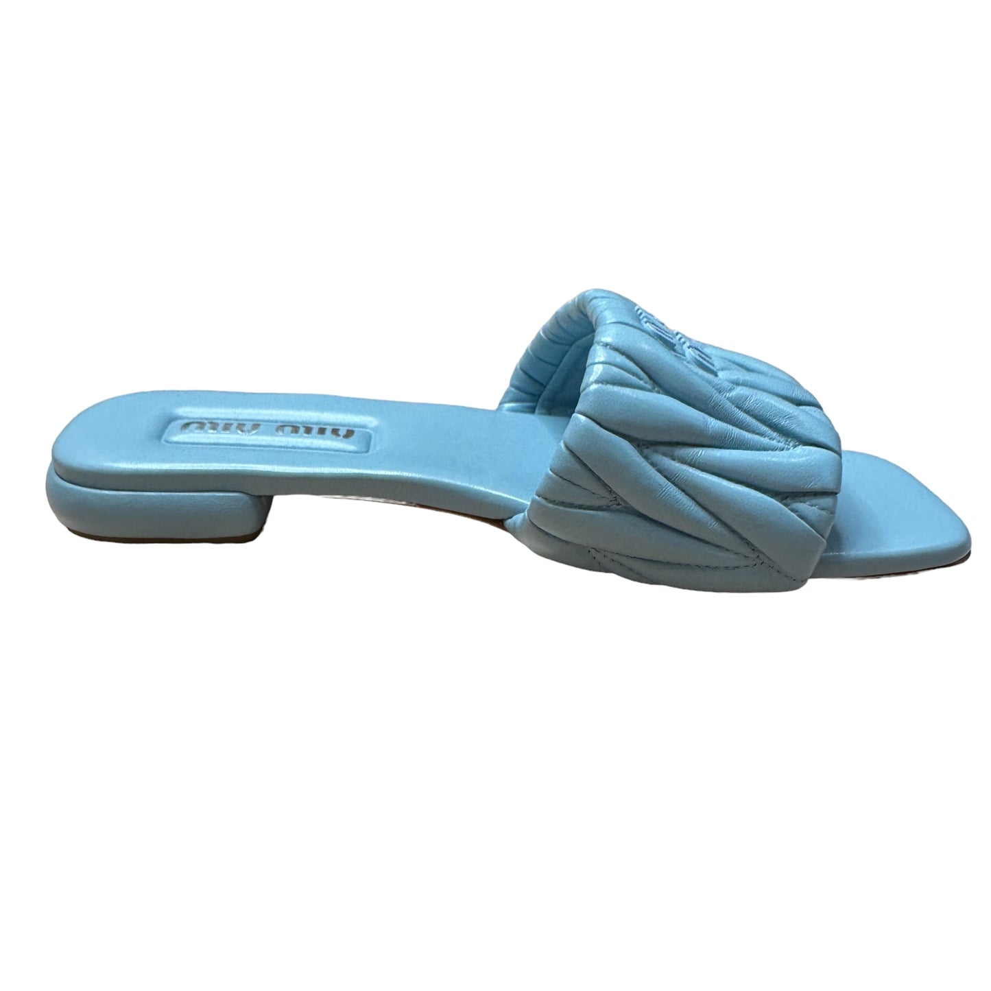 Blue Logo Slides