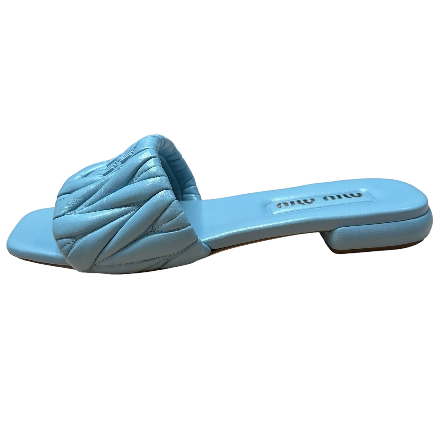 Blue Logo Slides