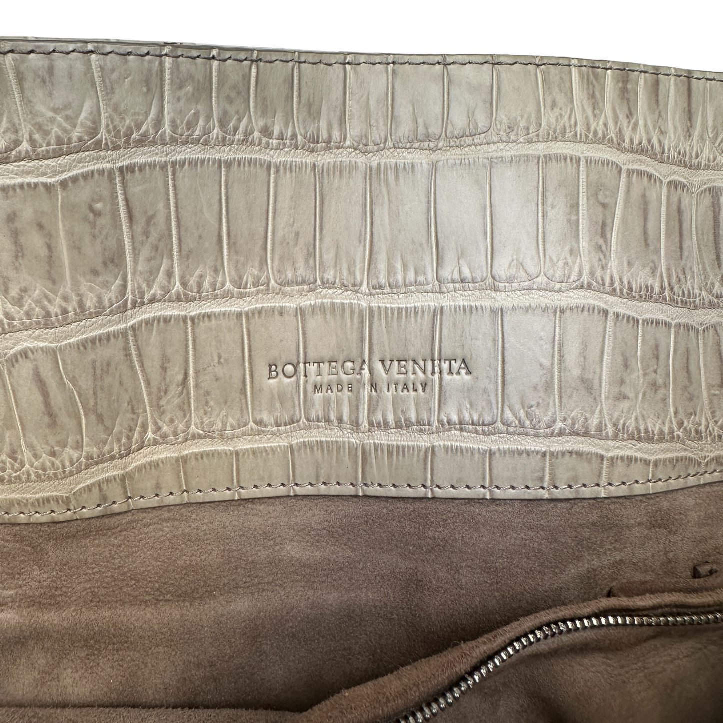 Beige Alligator Hobo Bag