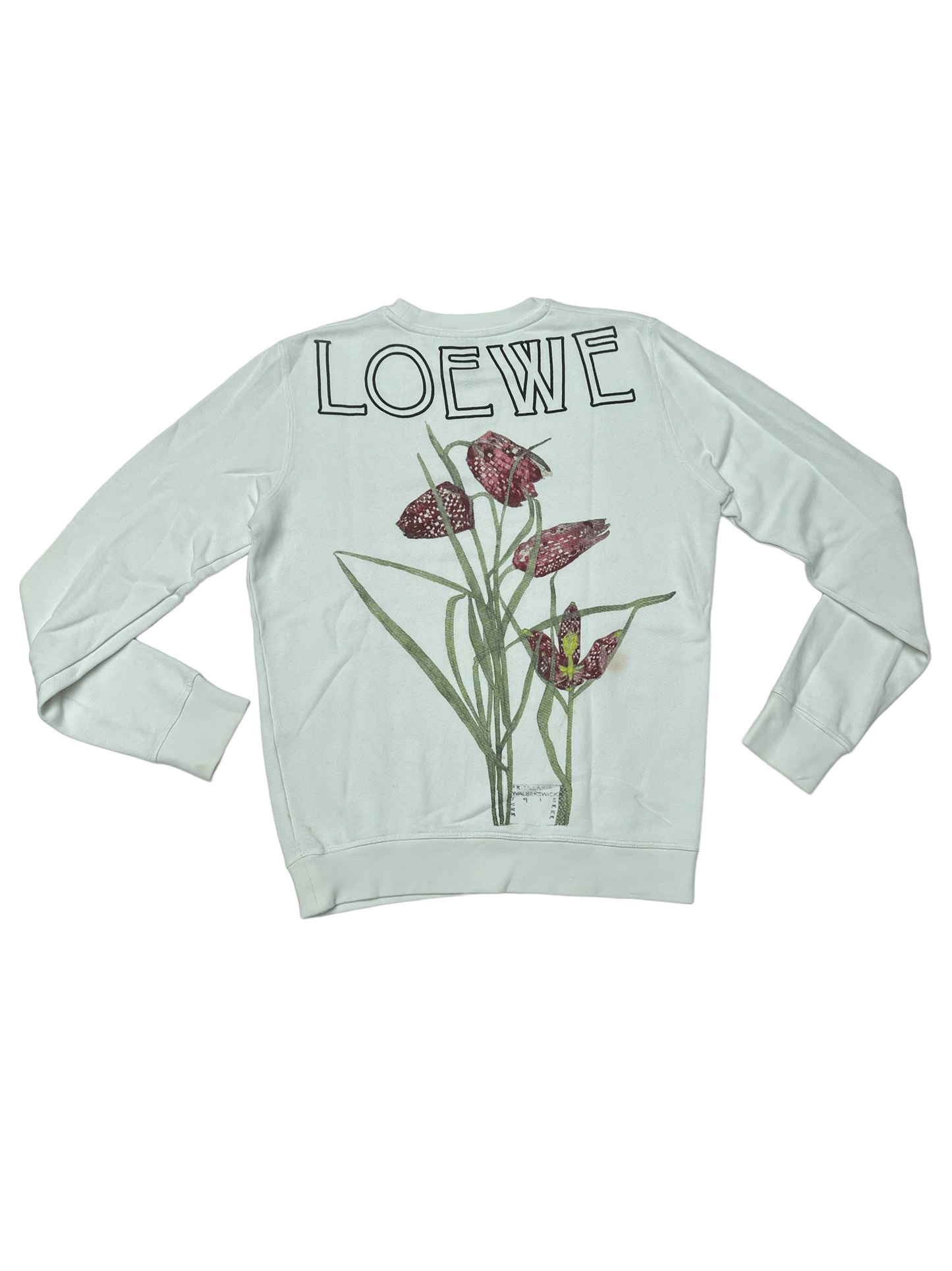 White Sweatshirt - XS