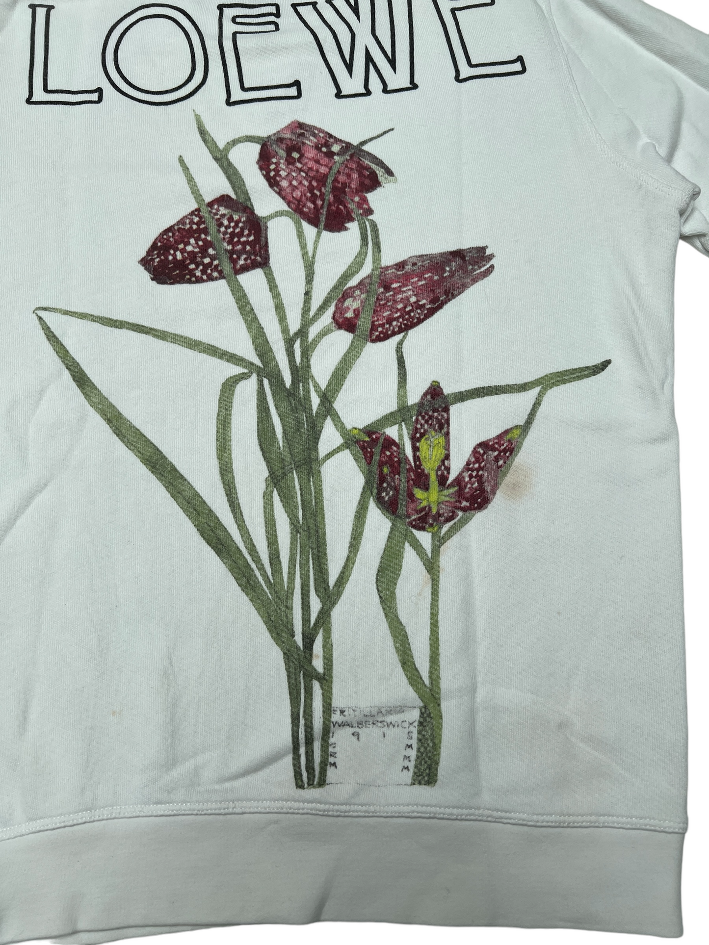 White Sweatshirt - XS