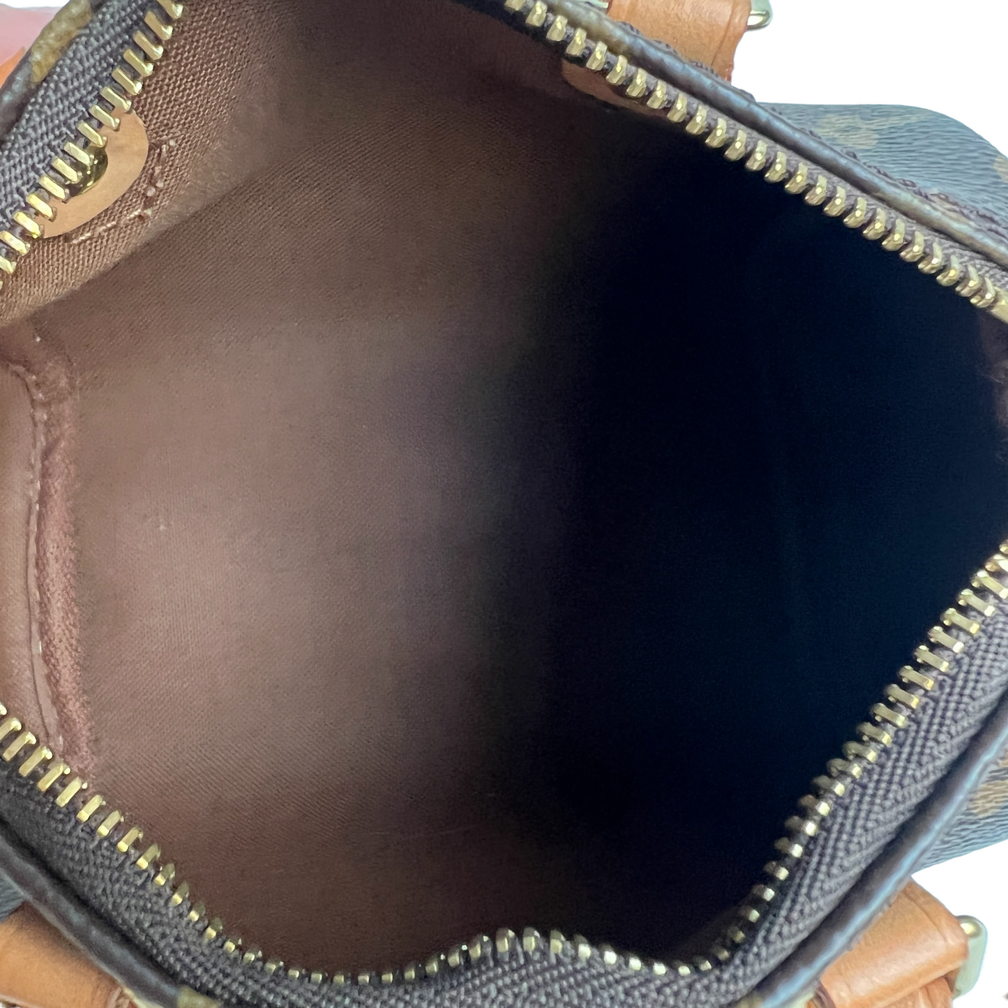 Nano Speedy Crossbody Bag