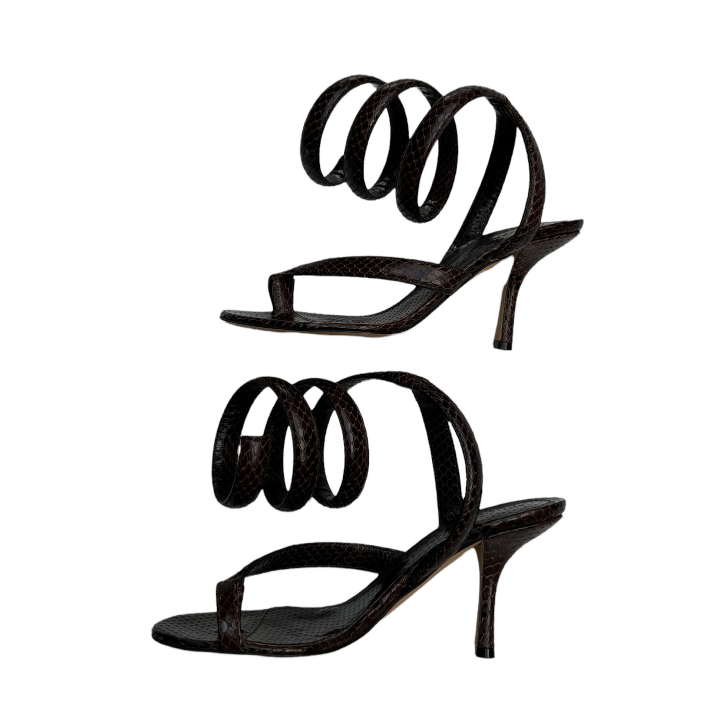 Brown Python Heels - 5.5