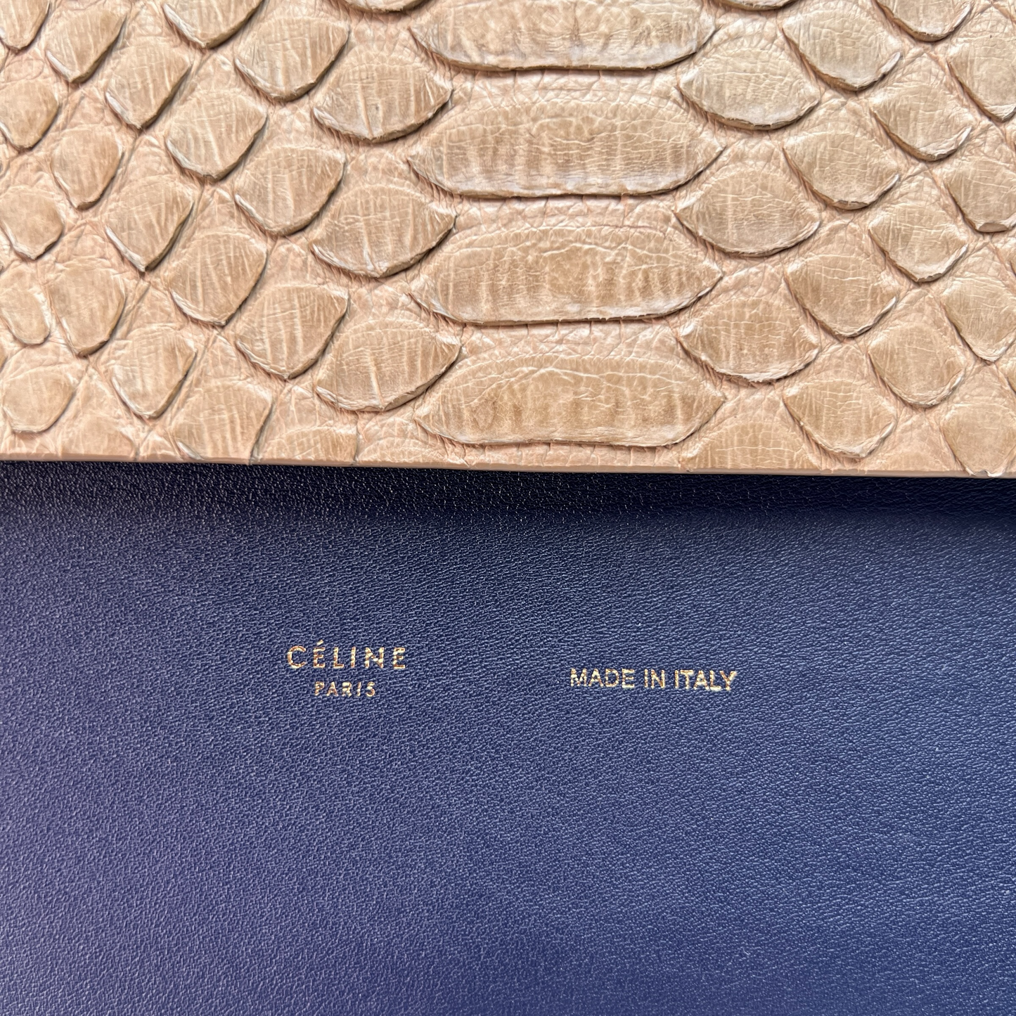 Cream Python and Blue Leather Bag